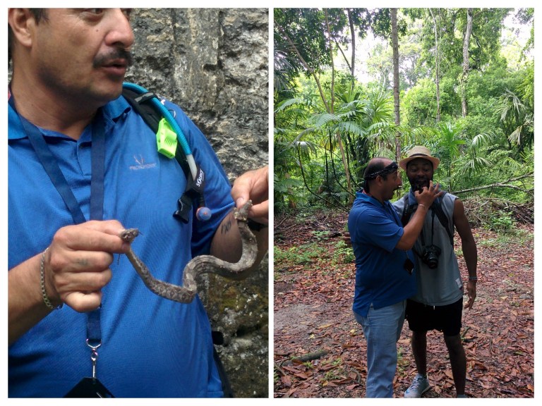 IMG_20170620_110723-COLLAGE