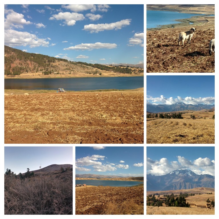 IMG_20170728_151820-COLLAGE