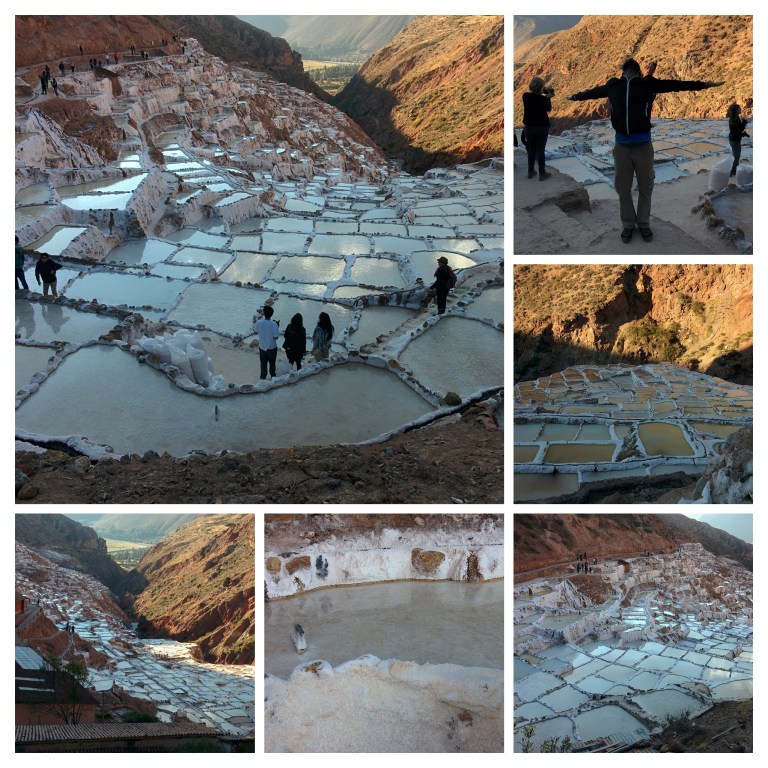 IMG_20170728_162701-COLLAGE